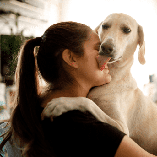 Como os animais demonstram afeto? - Teco Pet