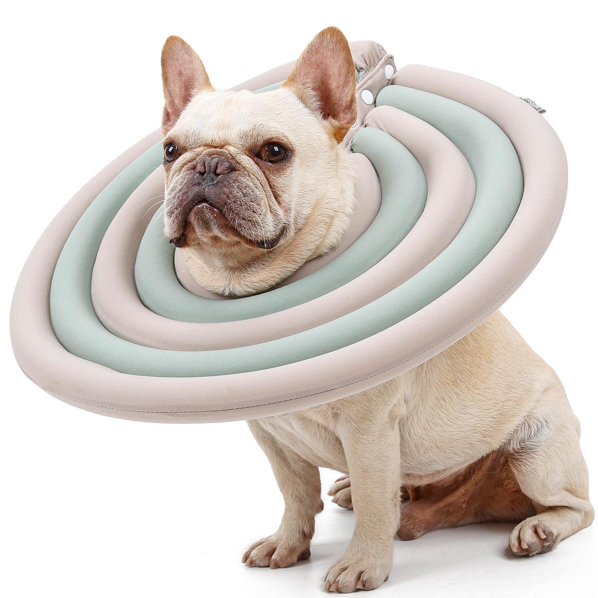 Colar Elizabetano Fofinho - Teco Pet