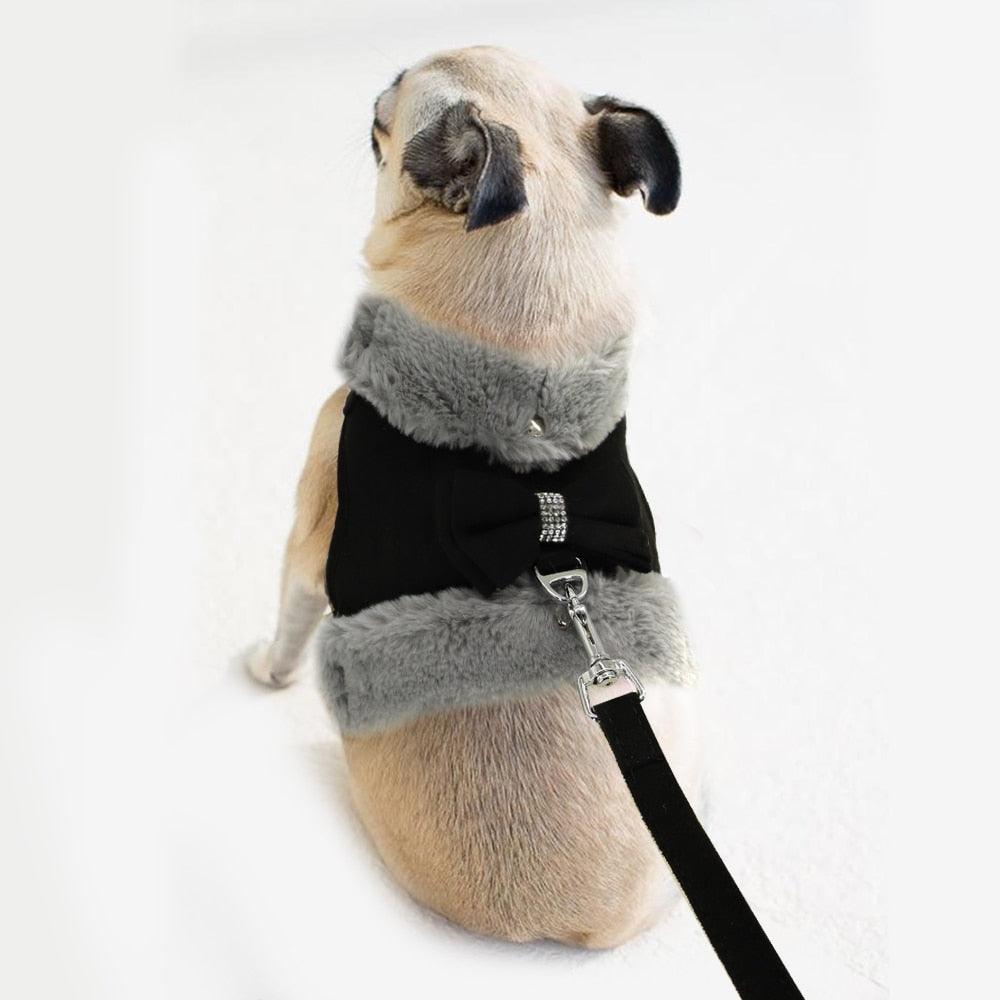 Coleira Peitoral Inverno Luxo Pet - Teco Pet