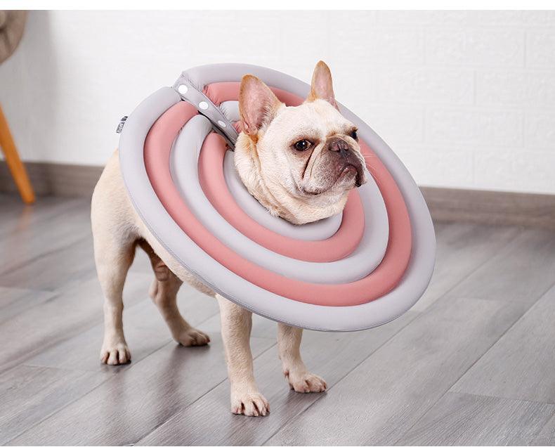 Colar Elizabetano Fofinho - Teco Pet