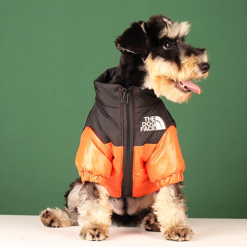 Jaqueta de Inverno Pet - Teco Pet