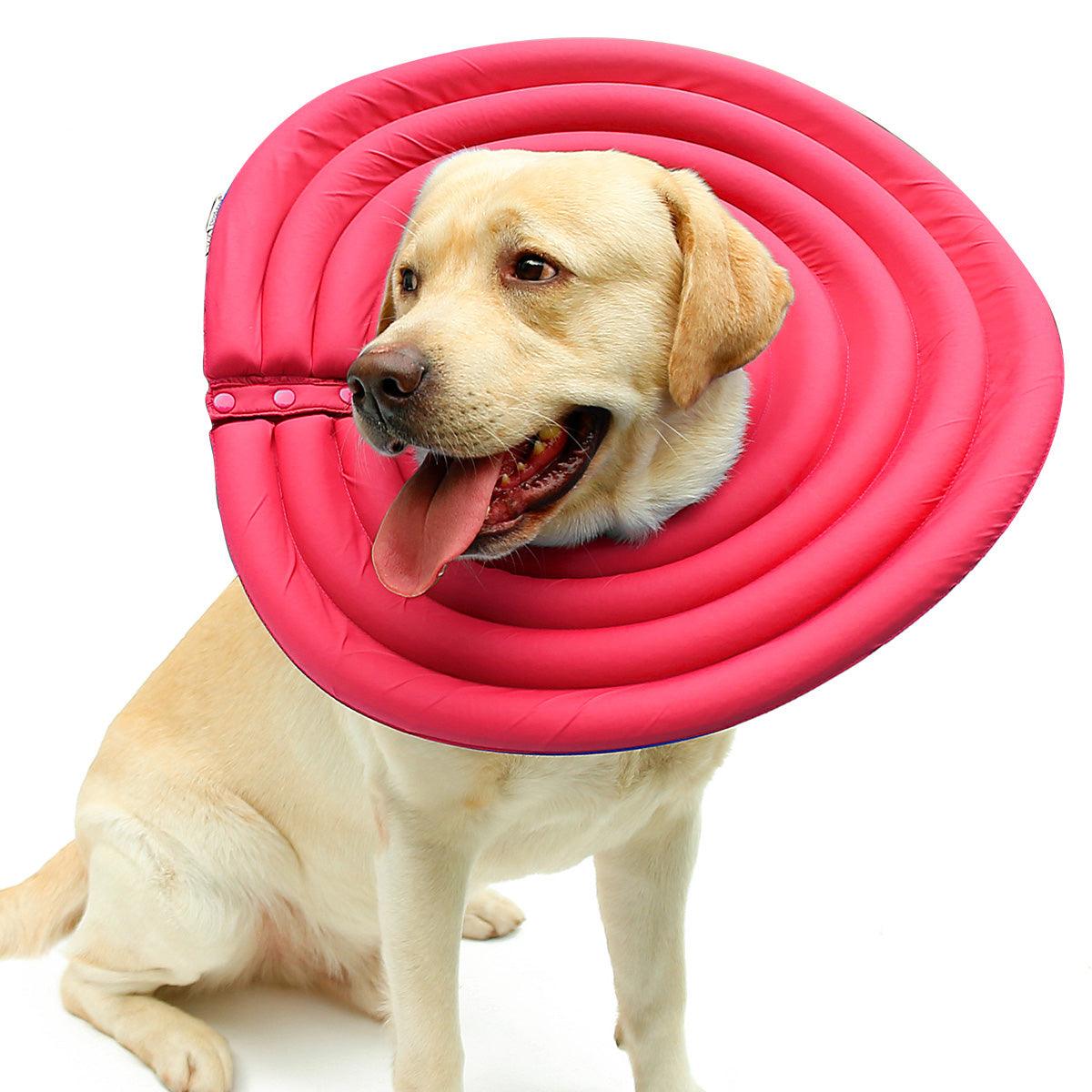 Colar Elizabetano Fofinho - Teco Pet