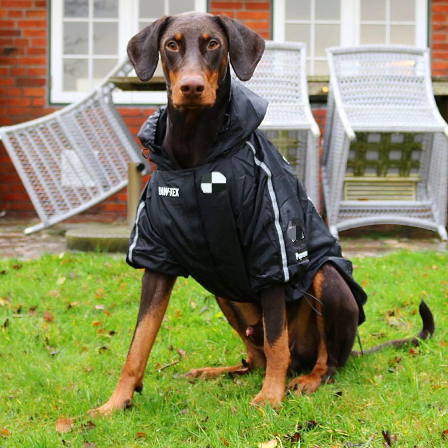 Capa de Chuva American - Teco Pet
