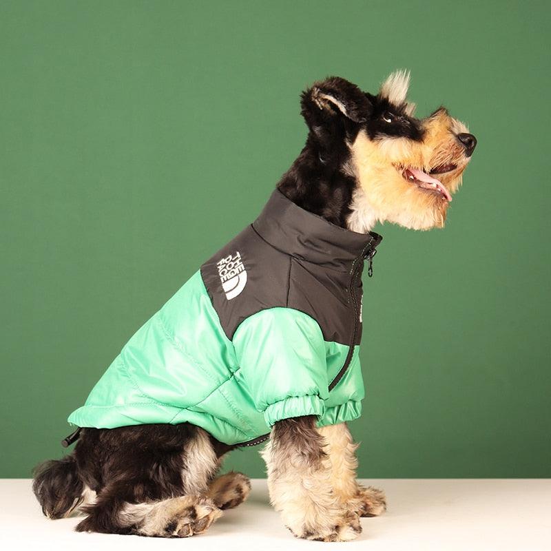 Jaqueta de Inverno Pet - Teco Pet