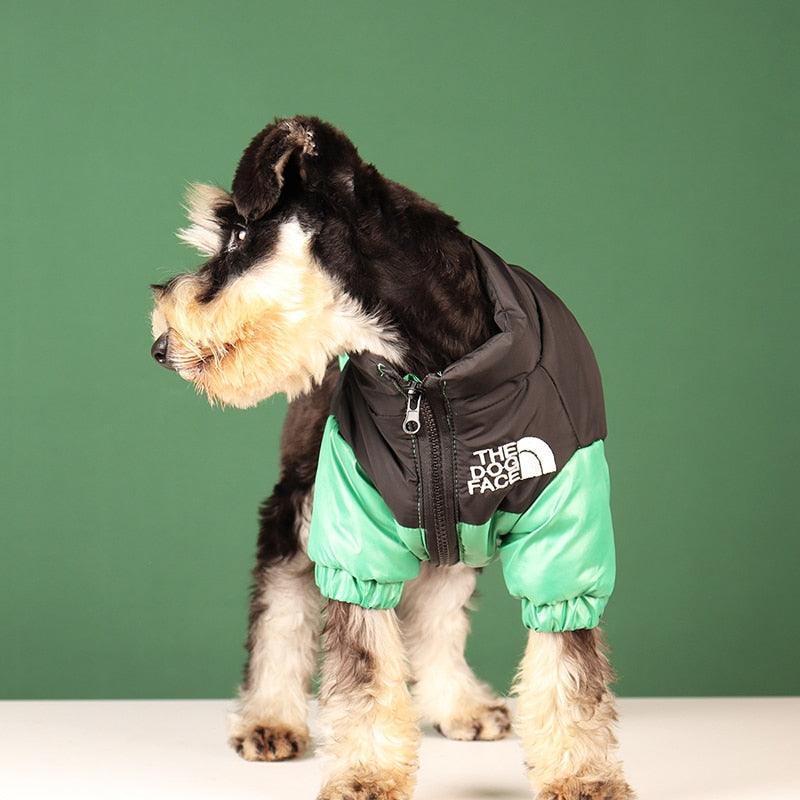 Jaqueta de Inverno Pet - Teco Pet