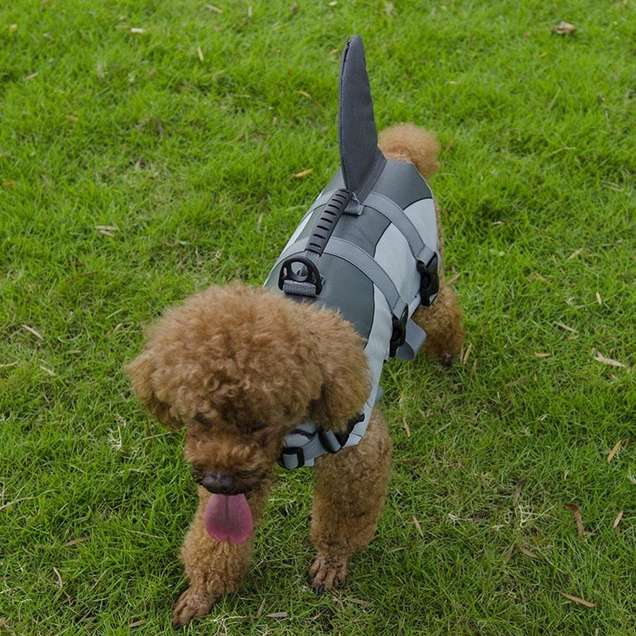 Colete Salva-Vidas para Cães - Teco Pet