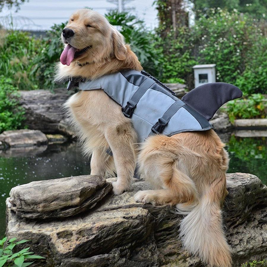 Colete Salva-Vidas para Cães - Teco Pet