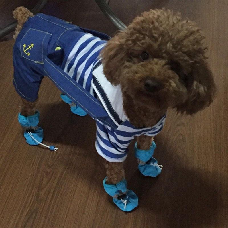 Sapatos a prova d'água para cachorro - Teco Pet