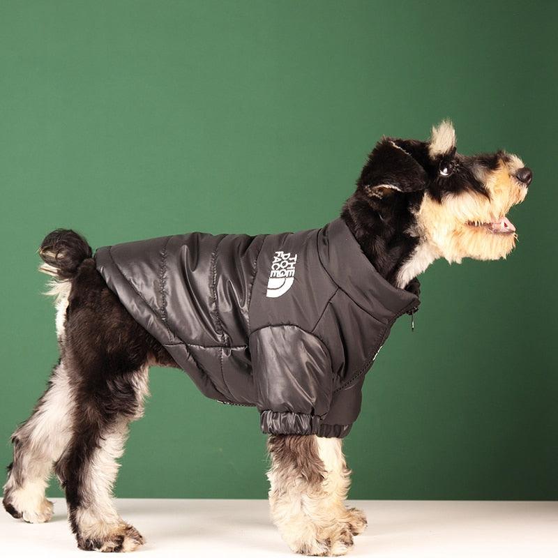 Jaqueta de Inverno Pet - Teco Pet