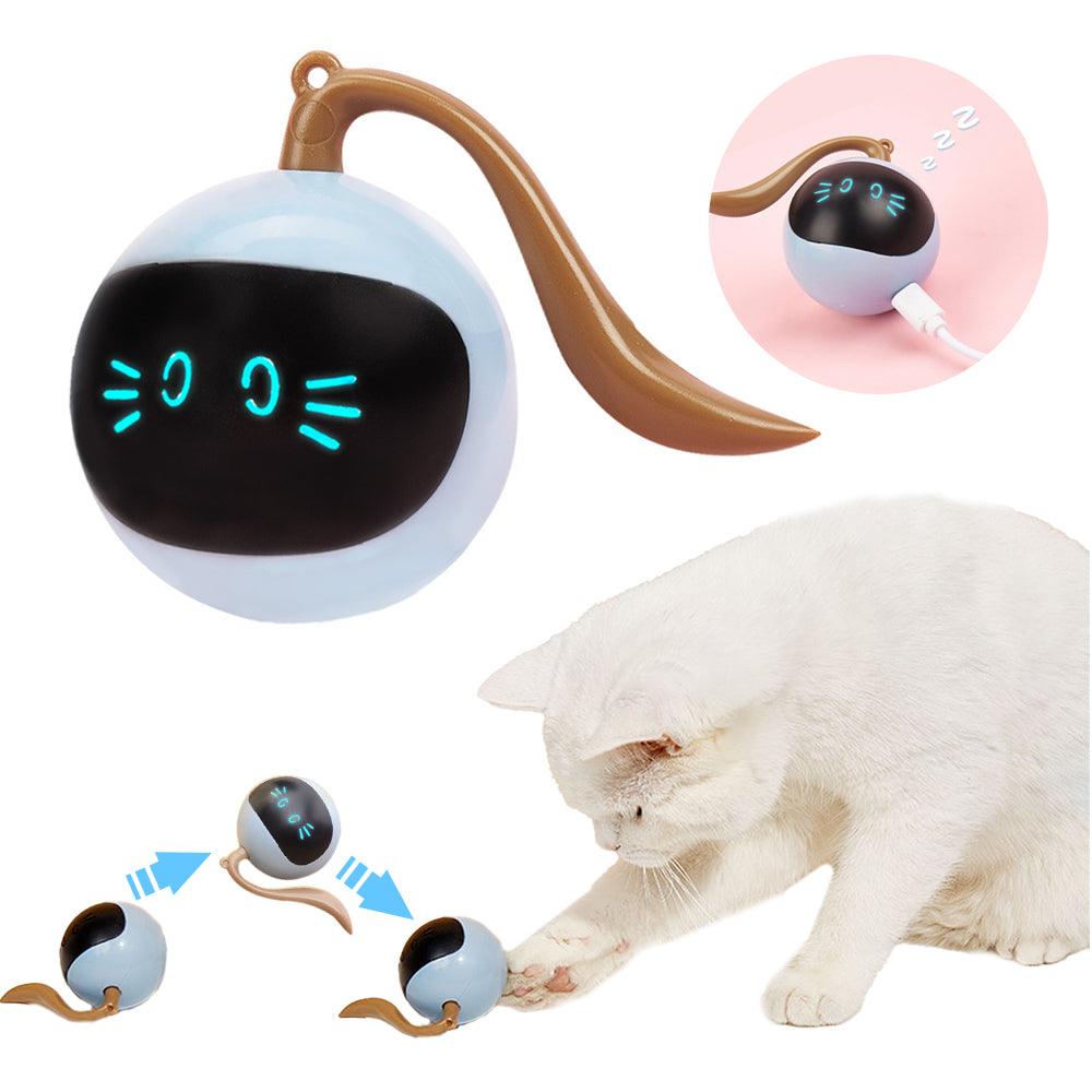 Bola Mágica Interativa Para Gatos - Teco Pet