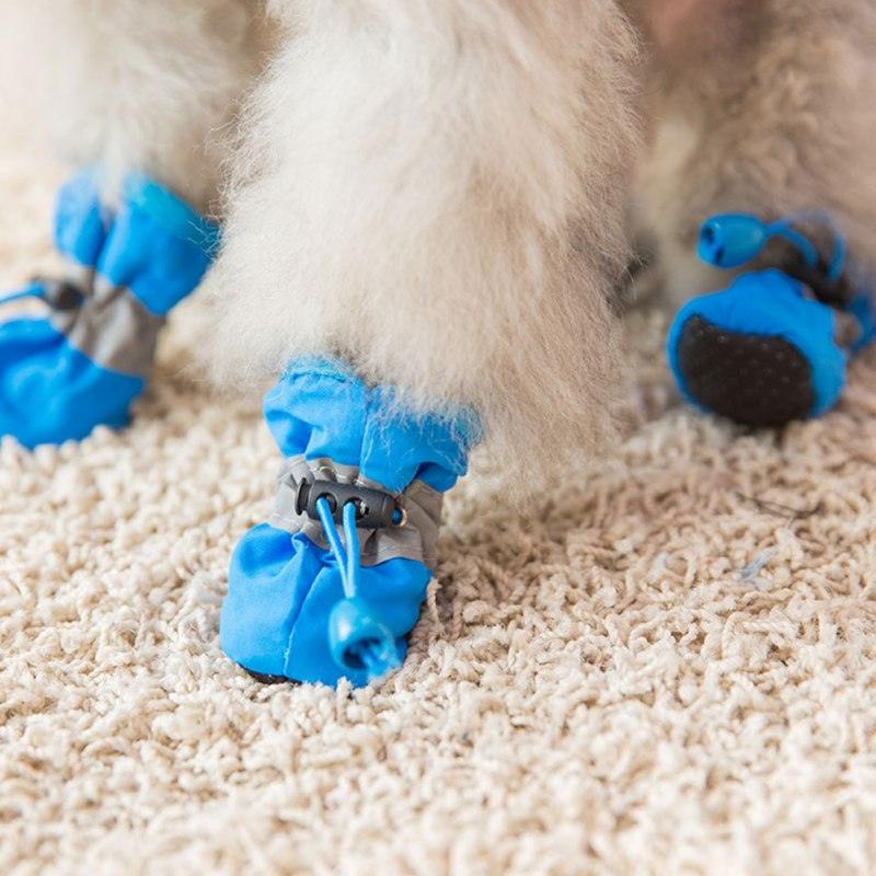 Sapatos a prova d'água para cachorro - Teco Pet
