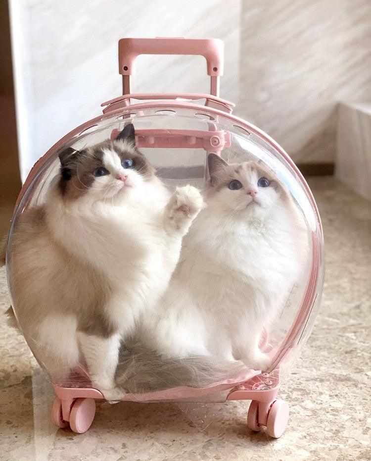 Mala Transparente de Transporte para Pet - Teco Pet