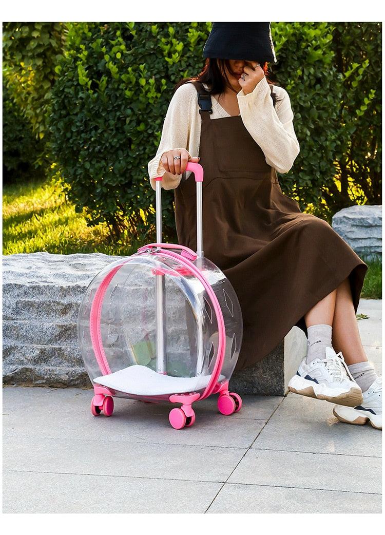 Mala Transparente de Transporte para Pet - Teco Pet