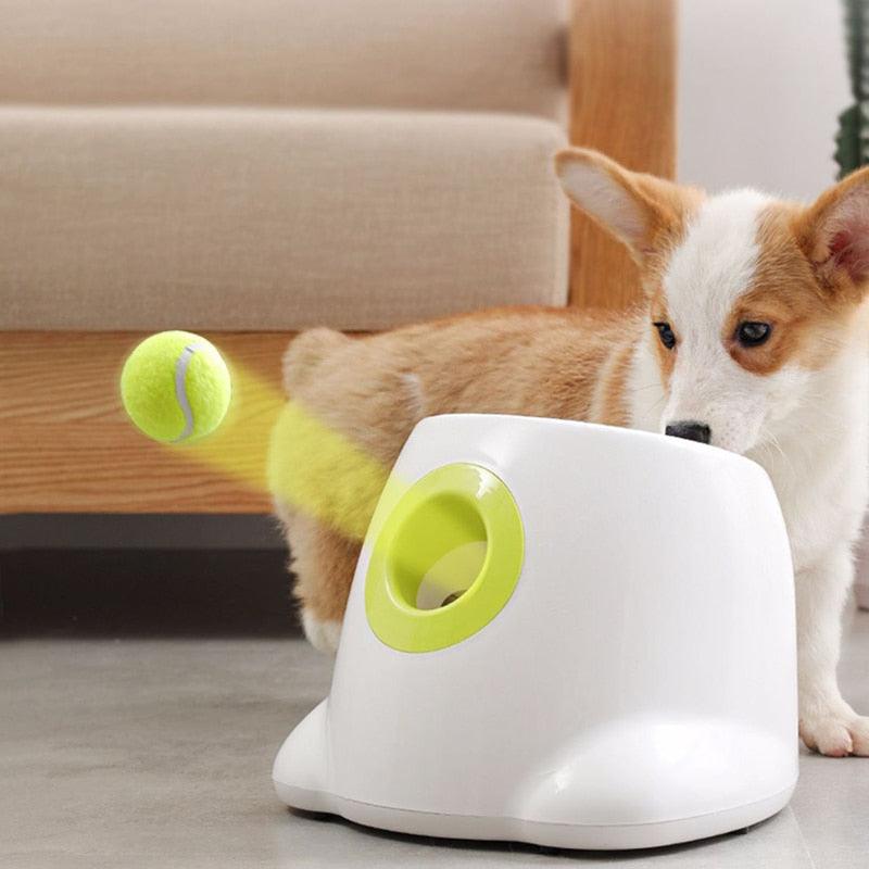 Lançador de Bolas Automático - Teco Pet