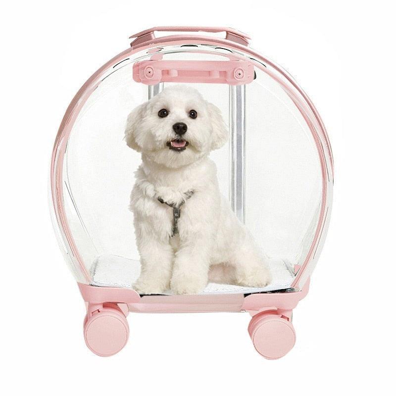 Mala Transparente de Transporte para Pet - Teco Pet