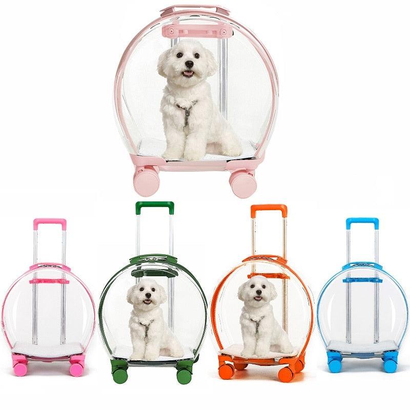 Mala Transparente de Transporte para Pet - Teco Pet