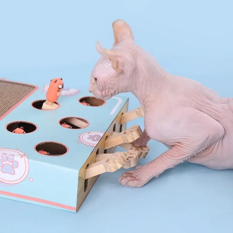 Brinquedo Interativo Caça ao Rato 3 em 1 - Teco Pet