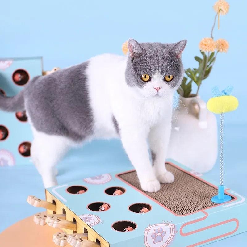 Brinquedo Interativo Caça ao Rato 3 em 1 - Teco Pet