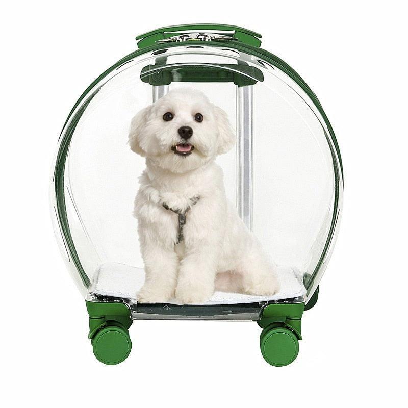 Mala Transparente de Transporte para Pet - Teco Pet