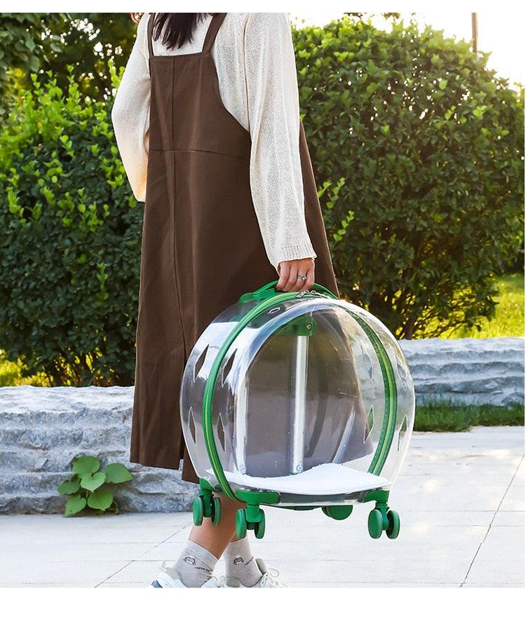 Mala Transparente de Transporte para Pet - Teco Pet