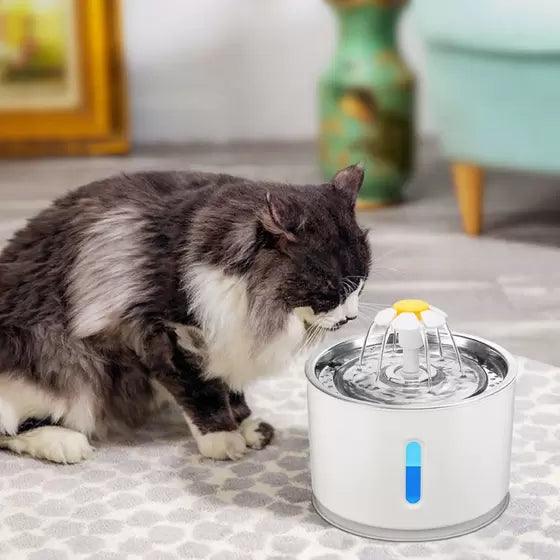 Bebedouro Automático Com Filtro de Carvão Ativado - Teco Pet