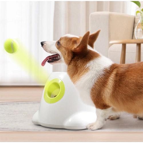 Lançador de Bolas Automático - Teco Pet