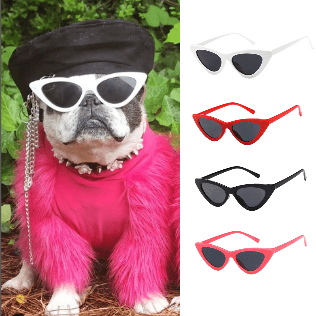 Óculos Fashion Pet - Teco Pet