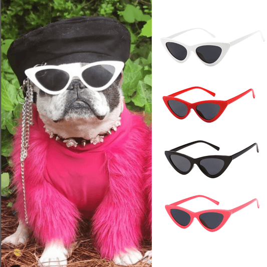 Óculos Fashion Pet - Teco Pet