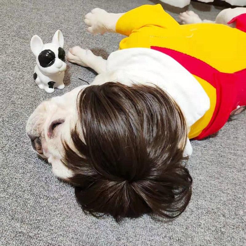 Peruca Cosplay Pet - Teco Pet