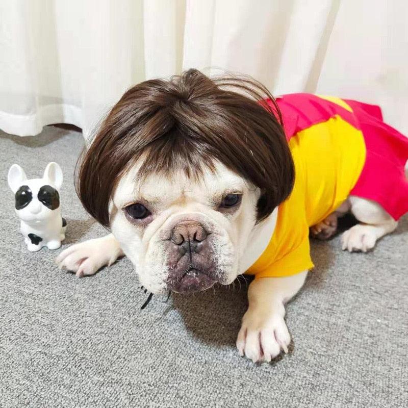 Peruca Cosplay Pet - Teco Pet