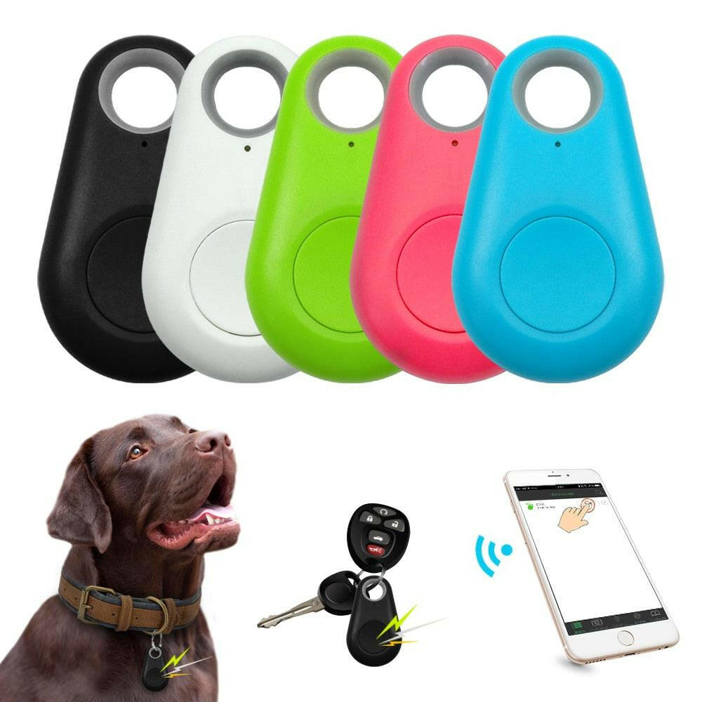 Rastreador GPS Inteligente - Teco Pet
