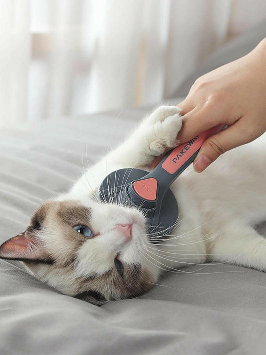 Pente Especial para Pelos e Massageador - Teco Pet