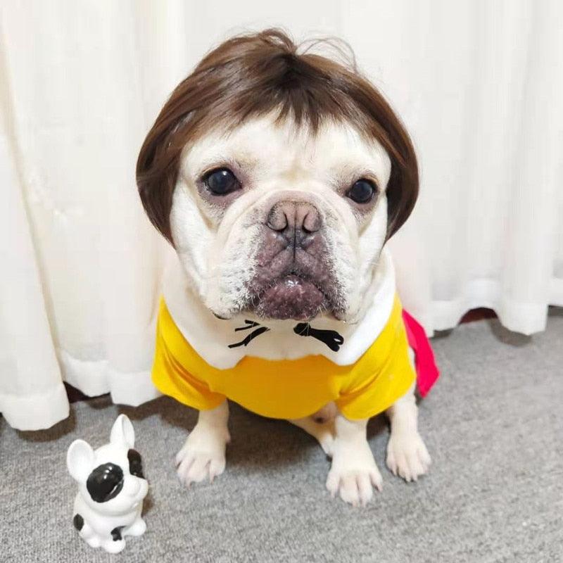 Peruca Cosplay Pet - Teco Pet