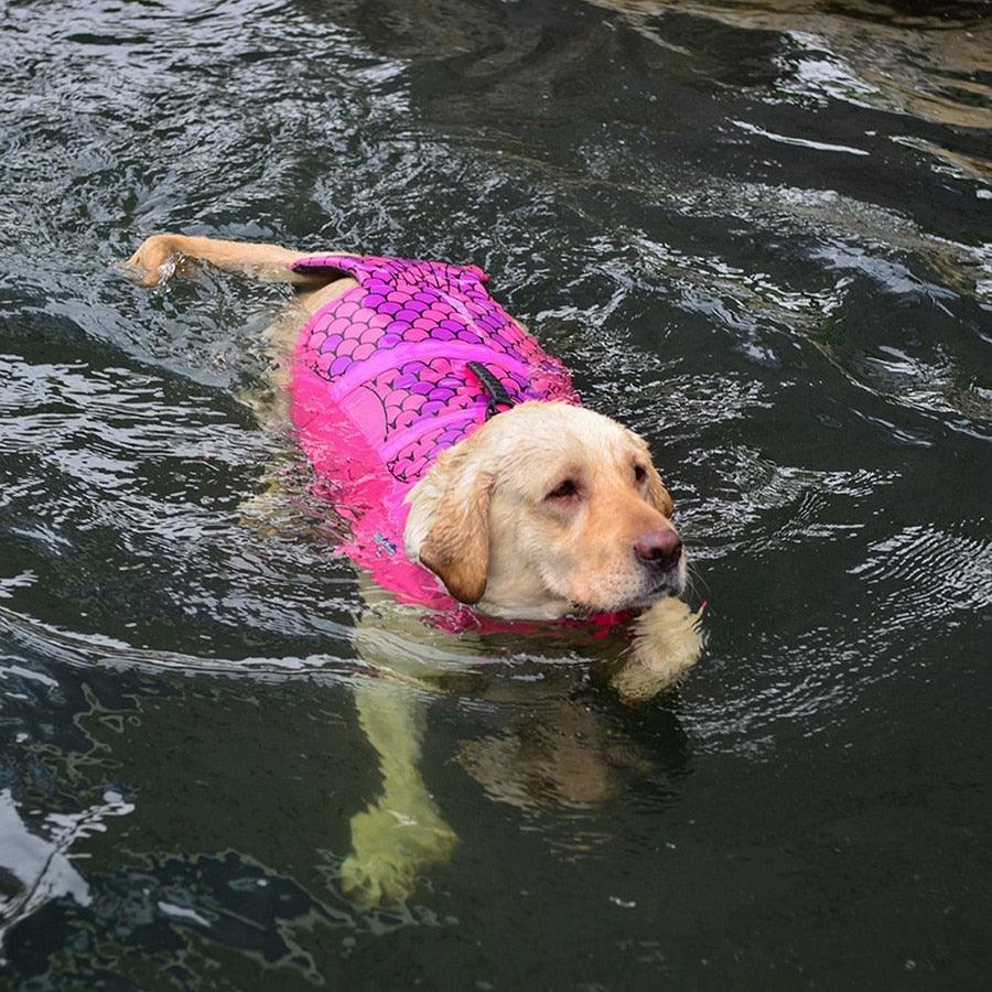 Colete Salva-Vidas para Cães - Teco Pet