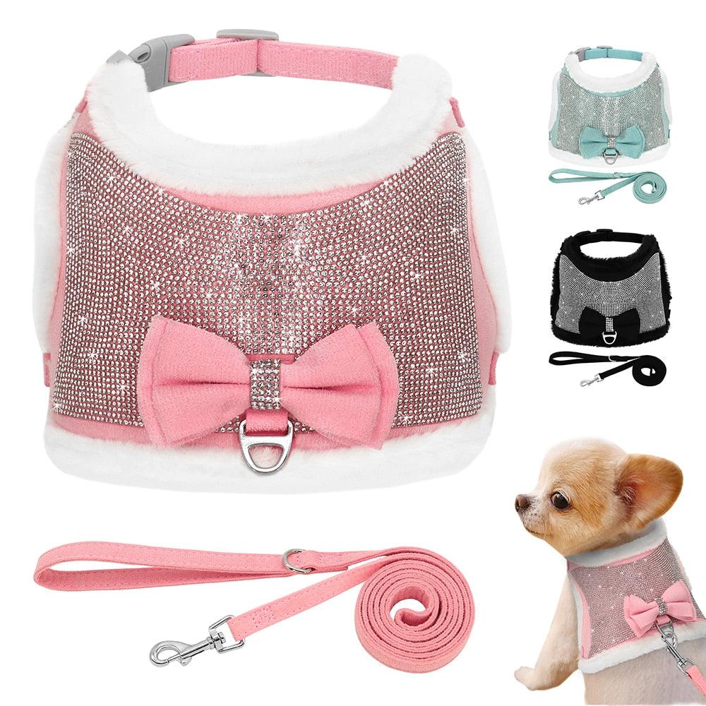 Coleira com Strass Peitoral Luxo - Teco Pet