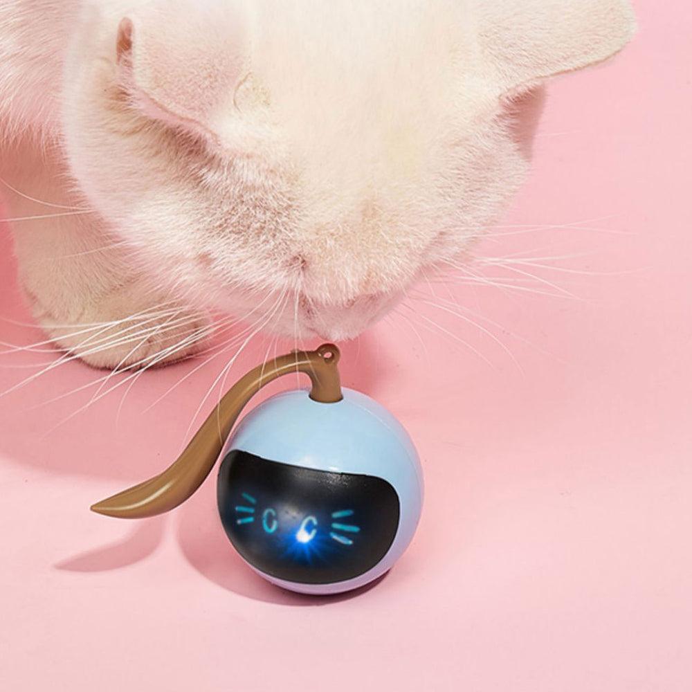 Bola Mágica Interativa Para Gatos - Teco Pet