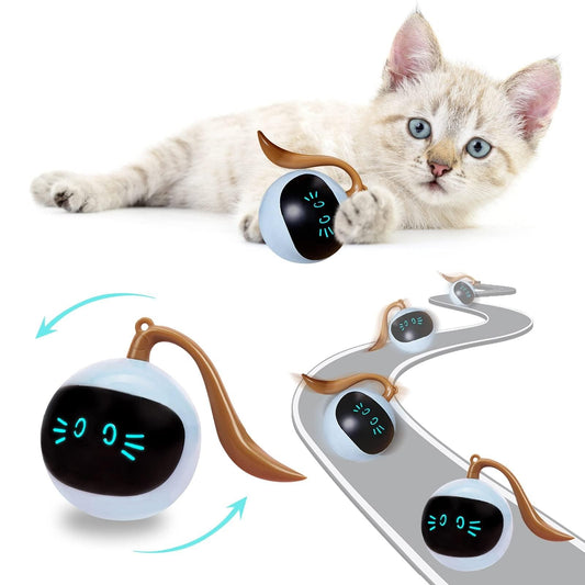 Bola Mágica Interativa Para Gatos - Teco Pet