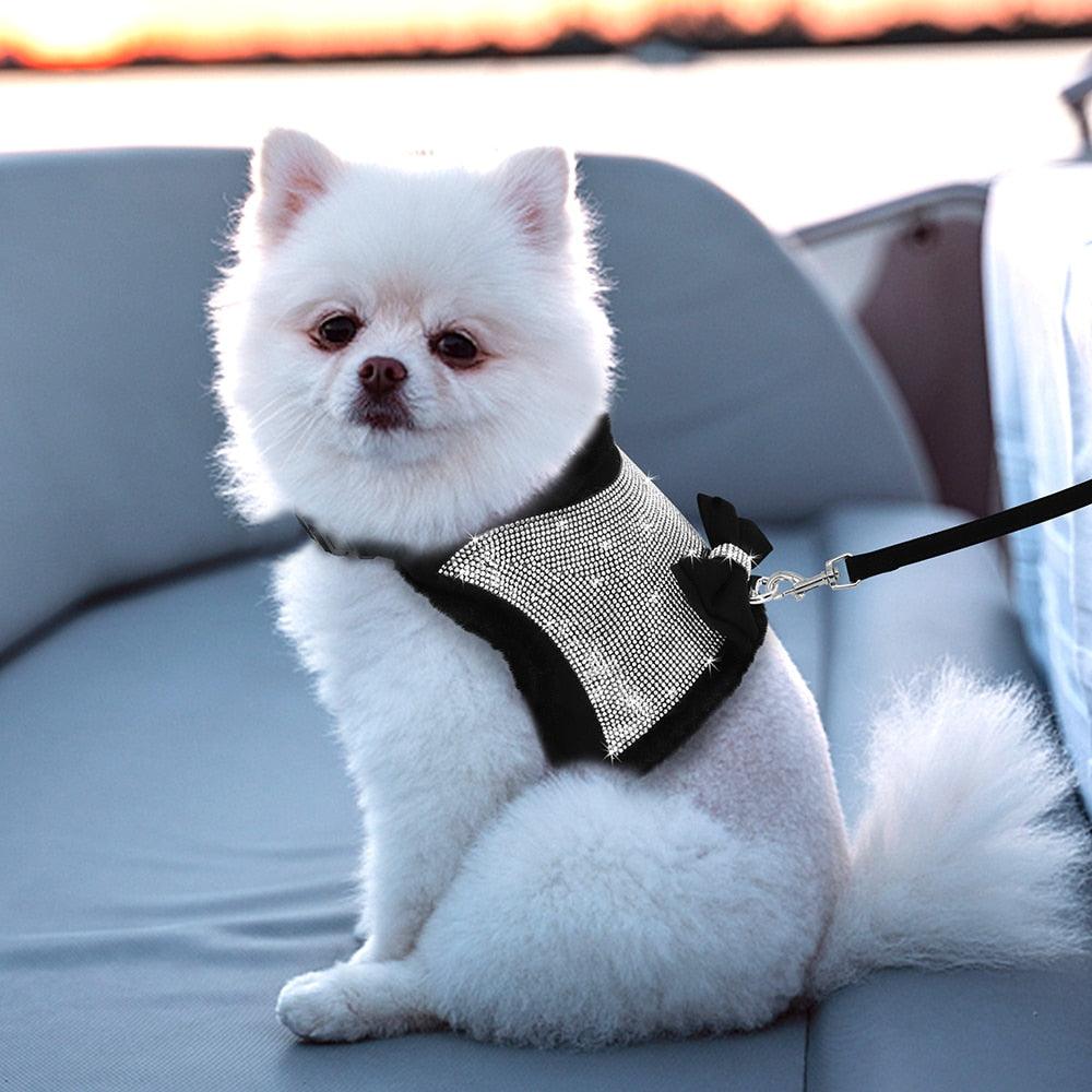 Coleira com Strass Peitoral Luxo - Teco Pet