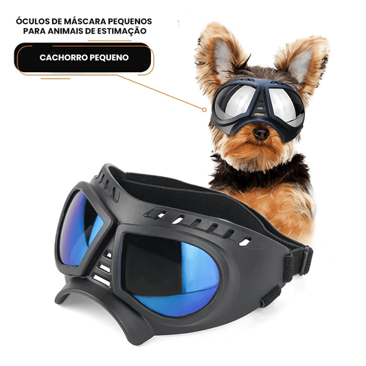Óculos de Sol À Prova de Vento Com Proteção UV - Teco Pet