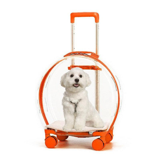 Mala Transparente de Transporte para Pet - Teco Pet