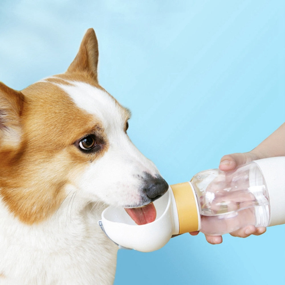 Garrafa de água portátil para cães - Teco Pet