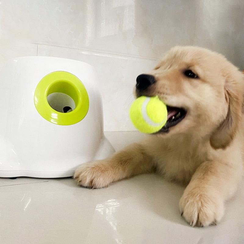 Lançador de Bolas Automático - Teco Pet