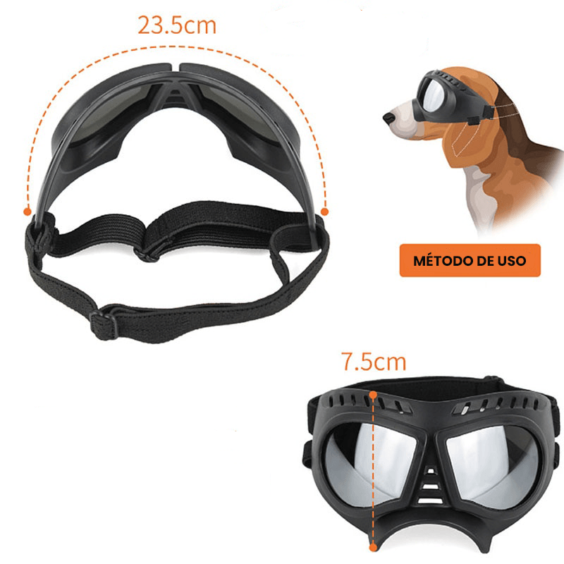 Óculos de Sol À Prova de Vento Com Proteção UV - Teco Pet