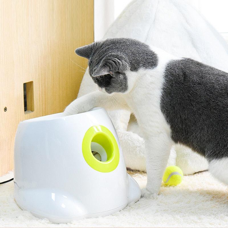 Lançador de Bolas Automático - Teco Pet