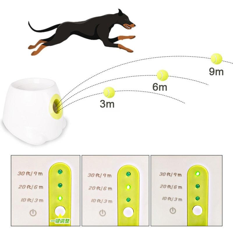 Lançador de Bolas Automático - Teco Pet