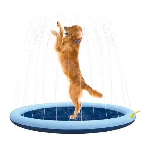 Piscina Chafariz para Pet - Teco Pet