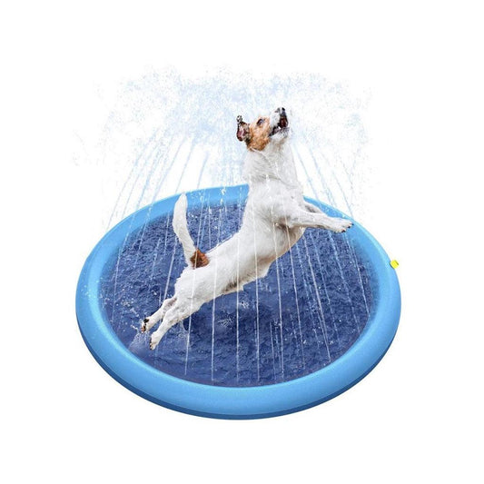 Piscina Chafariz para Pet - Teco Pet